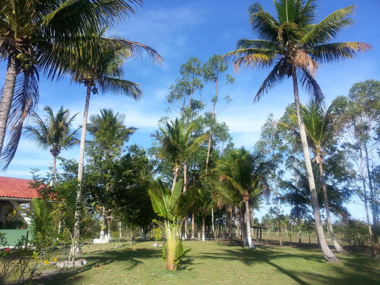 Canaa Cumuruxatiba